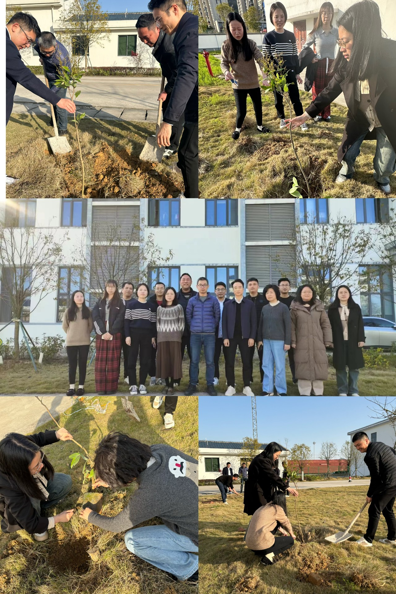 2024-3-12綠色陸港，美麗寧德，阮克妙拍攝.jpg