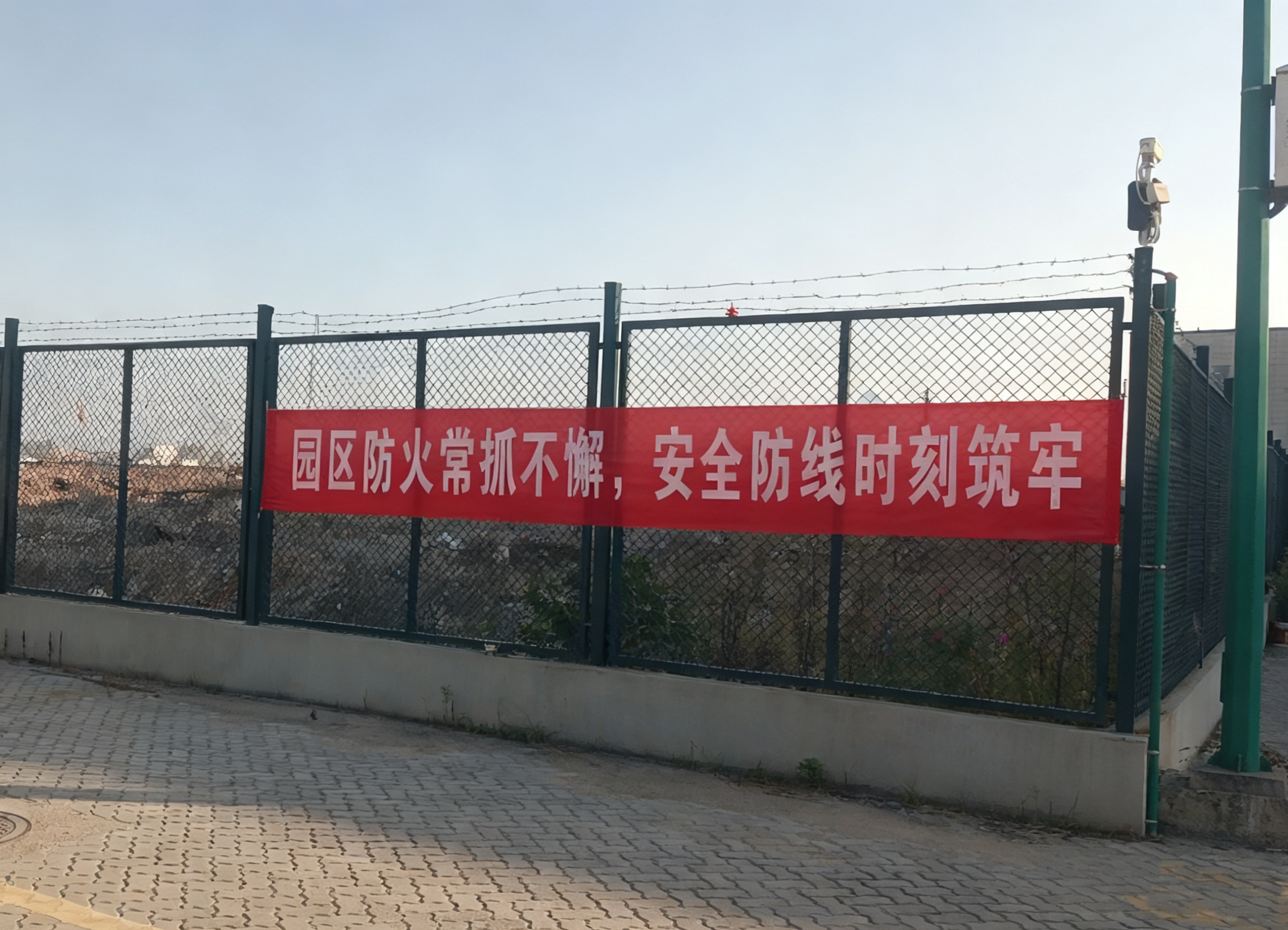 1764145201153655.png 1.png